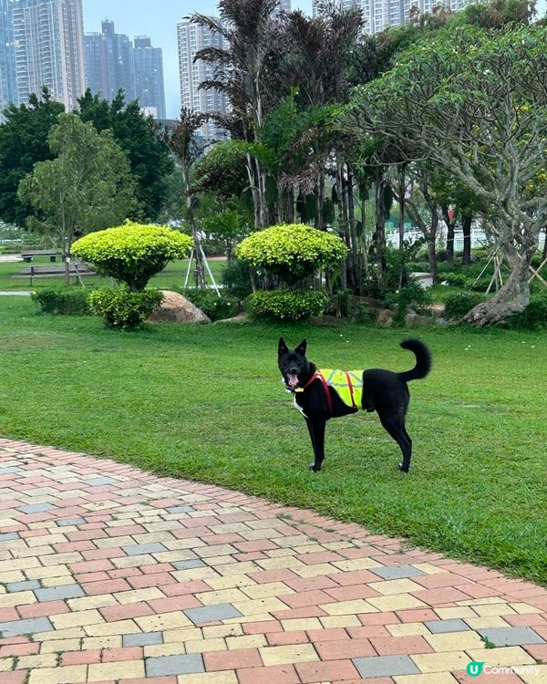 復活節彭福公園行🐰☁️🌧️