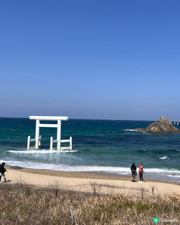 系島❤️賞櫻🌸