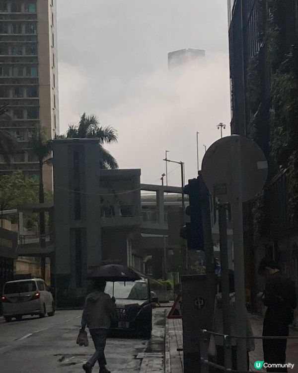 雨中尋寶！👀☁️