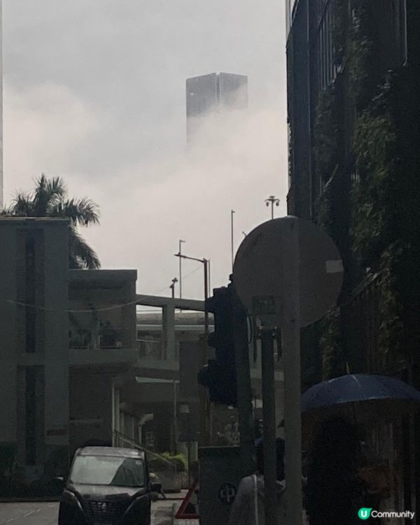 雨中尋寶！👀☁️