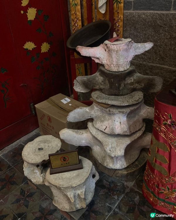 大澳楊候古廟📚鯨魚骨見證漁民情🐟