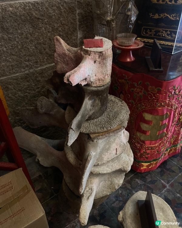 大澳楊候古廟📚鯨魚骨見證漁民情🐟