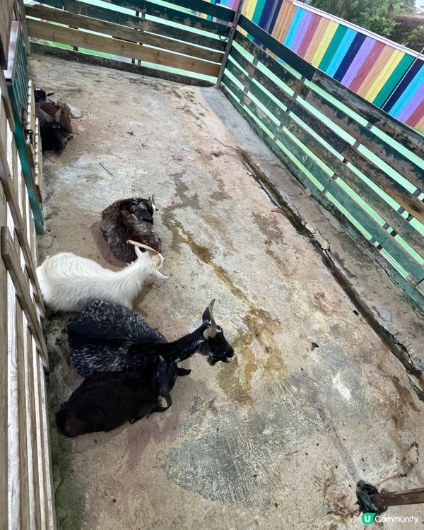 復活節大棠親子遊！🌸💸🎉