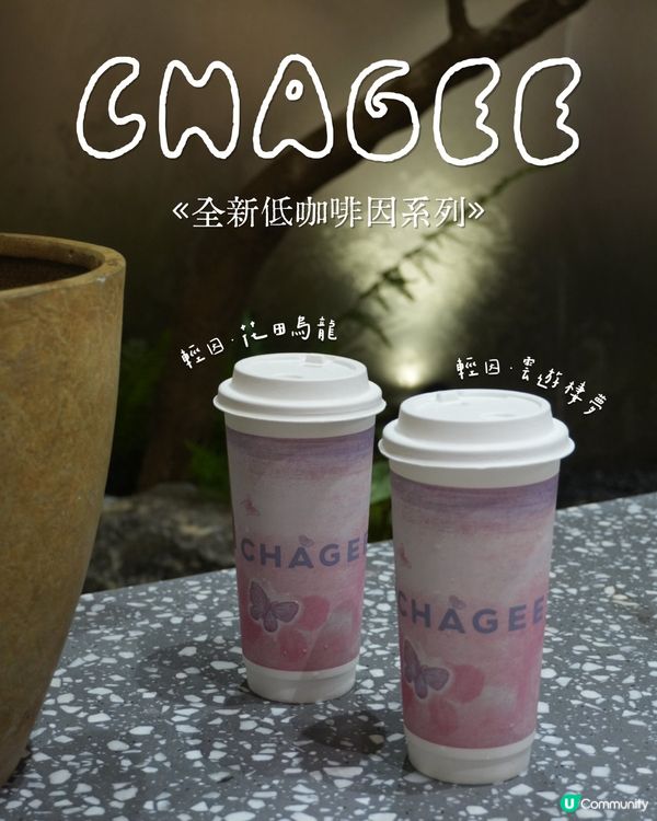 ૮꒰˶´ᜊ`˶꒱ა 霸王茶姬•全新低咖啡因「晚系列」🌙