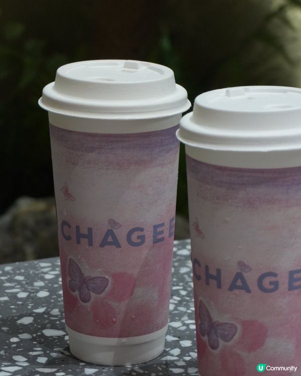 ૮꒰˶´ᜊ`˶꒱ა 霸王茶姬•全新低咖啡因「晚系列」🌙