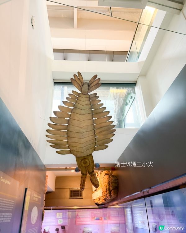 別再只去波波池！這個免費的恐龍與寶石天堂，錯過會後悔！