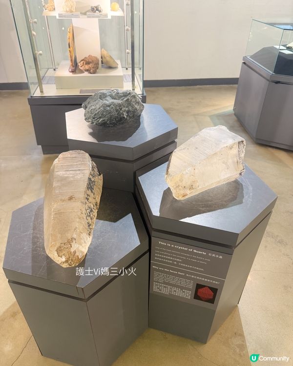 別再只去波波池！這個免費的恐龍與寶石天堂，錯過會後悔！