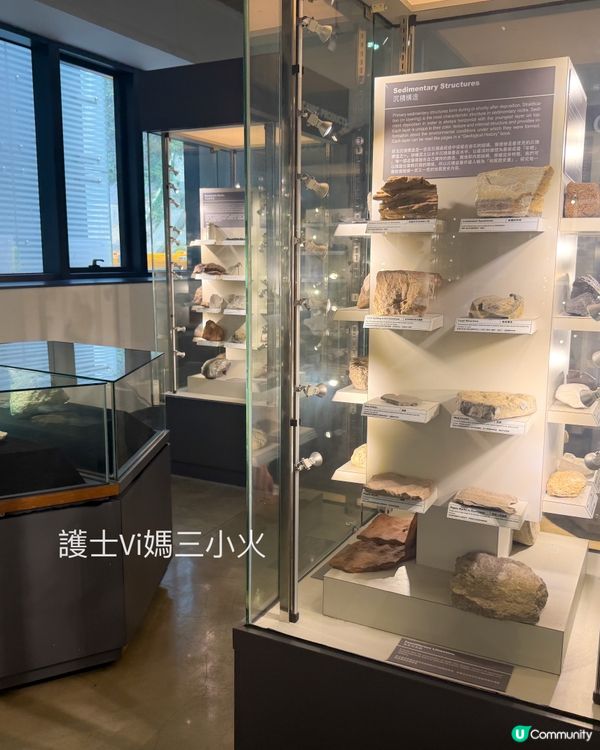 別再只去波波池！這個免費的恐龍與寶石天堂，錯過會後悔！