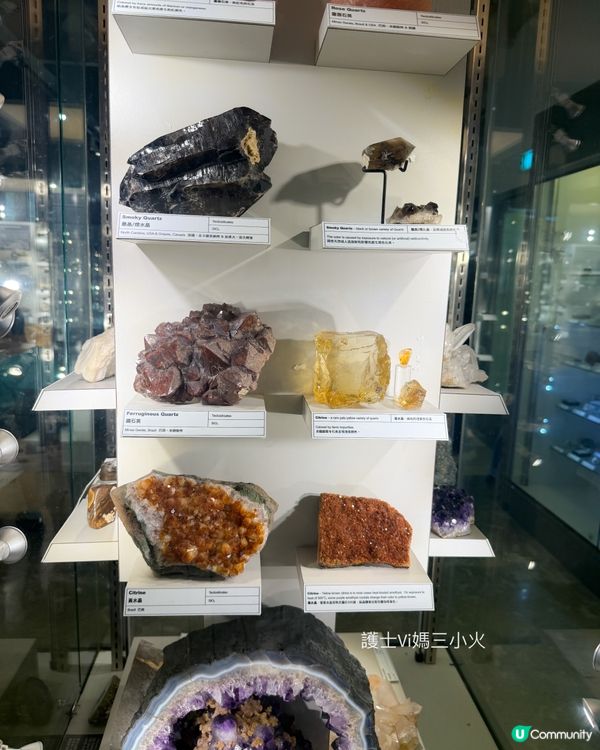 別再只去波波池！這個免費的恐龍與寶石天堂，錯過會後悔！