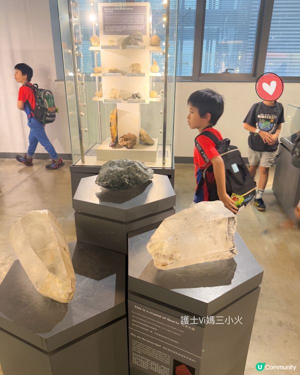 別再只去波波池！這個免費的恐龍與寶石天堂，錯過會後悔！