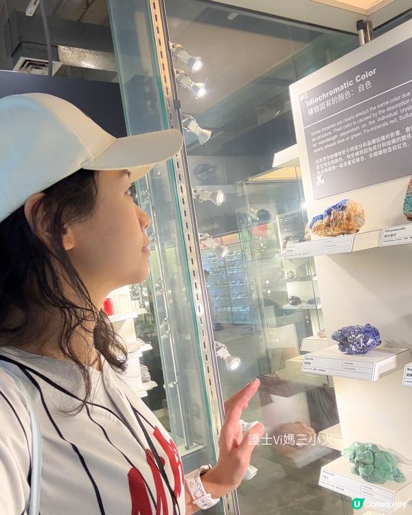 別再只去波波池！這個免費的恐龍與寶石天堂，錯過會後悔！