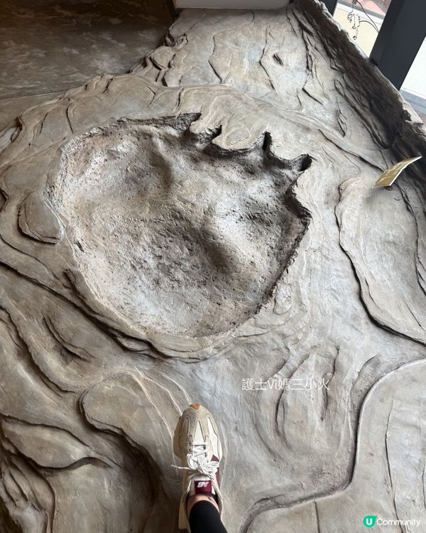 別再只去波波池！這個免費的恐龍與寶石天堂，錯過會後悔！