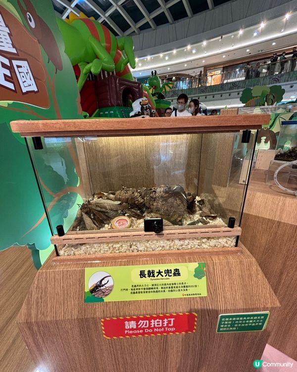 復活節親子活動·將軍澳新都城尋『蟲』記🥳，勁好玩！👍