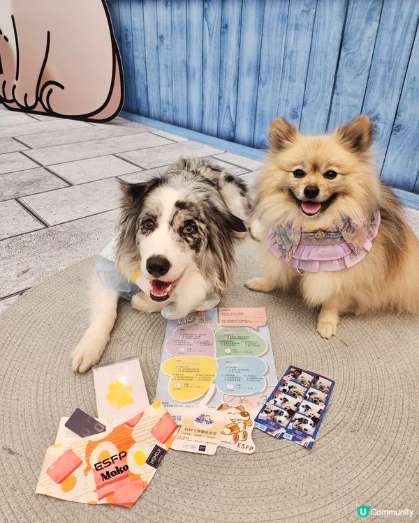 毛孩時尚樂園Pet Studio開幕!潮玩MBTI變裝秀~