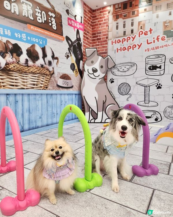 毛孩時尚樂園Pet Studio開幕!潮玩MBTI變裝秀~
