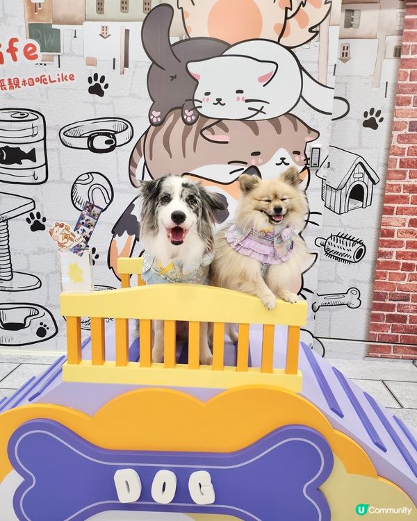 毛孩時尚樂園Pet Studio開幕!潮玩MBTI變裝秀~