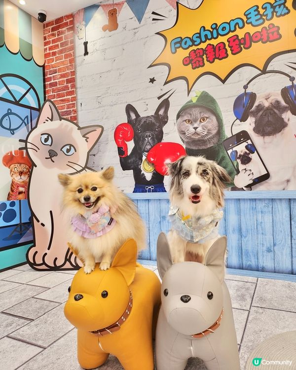 毛孩時尚樂園Pet Studio開幕!潮玩MBTI變裝秀~