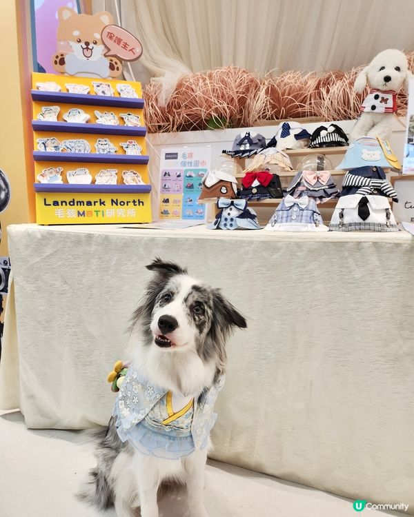毛孩時尚樂園Pet Studio開幕!潮玩MBTI變裝秀~