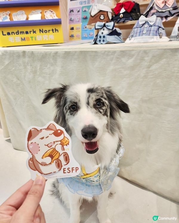 毛孩時尚樂園Pet Studio開幕!潮玩MBTI變裝秀~