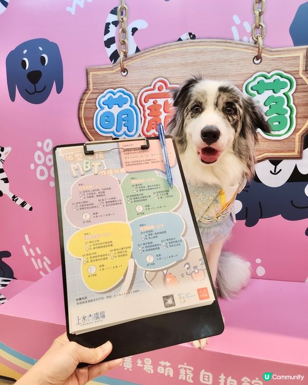 毛孩時尚樂園Pet Studio開幕!潮玩MBTI變裝秀~