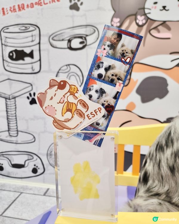 毛孩時尚樂園Pet Studio開幕!潮玩MBTI變裝秀~