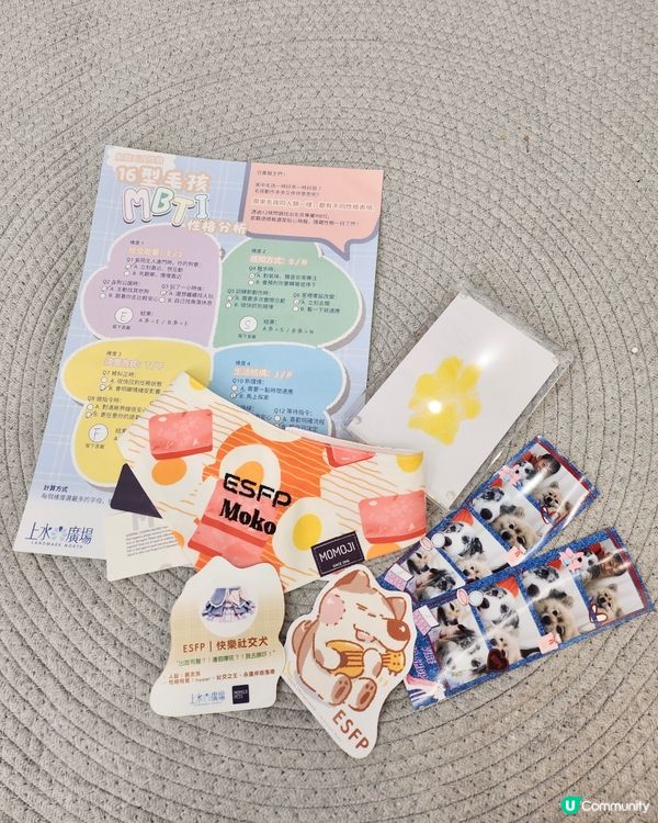 毛孩時尚樂園Pet Studio開幕!潮玩MBTI變裝秀~