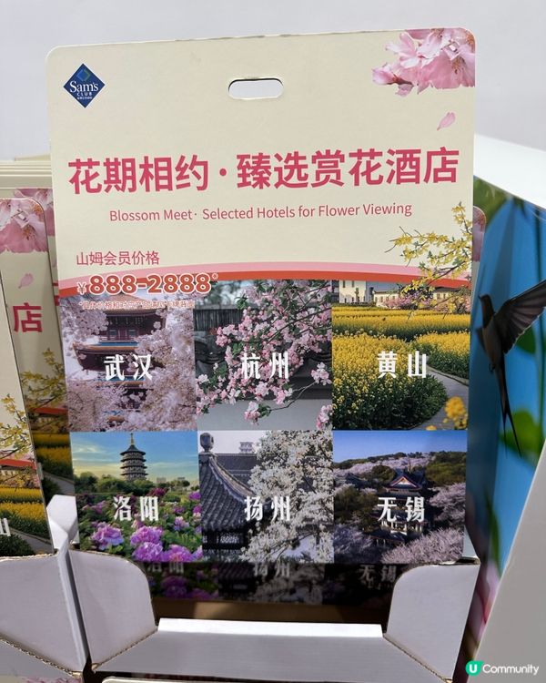 山姆新發現-羽衣甘蘭-可食用級數