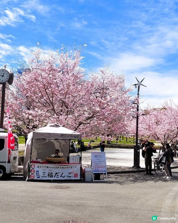 櫻花🌸駿府城，歷史感滿滿！💖