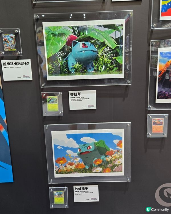 卡牌美術館開鑼！🖌️🤩