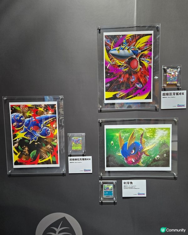 卡牌美術館開鑼！🖌️🤩