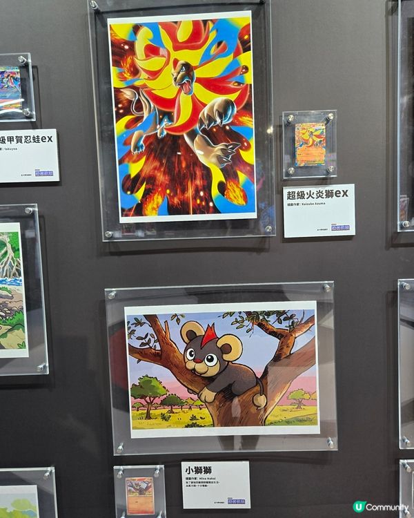 卡牌美術館開鑼！🖌️🤩