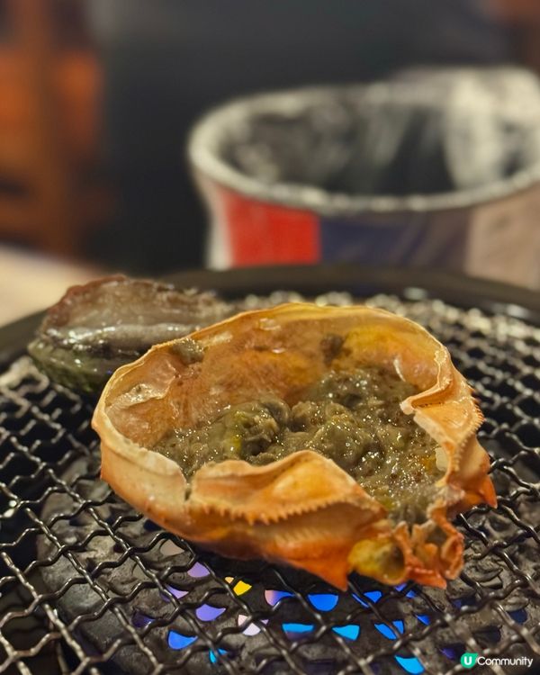 左口魚煲仔飯大熱餐廳🍾