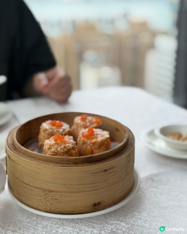 流心鵪鶉蛋燒賣🐦太驚喜！🤤