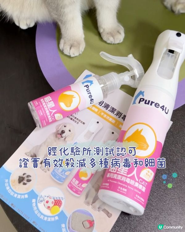 貓奴必備！喵星人專用消毒除臭噴霧！🐈🧼