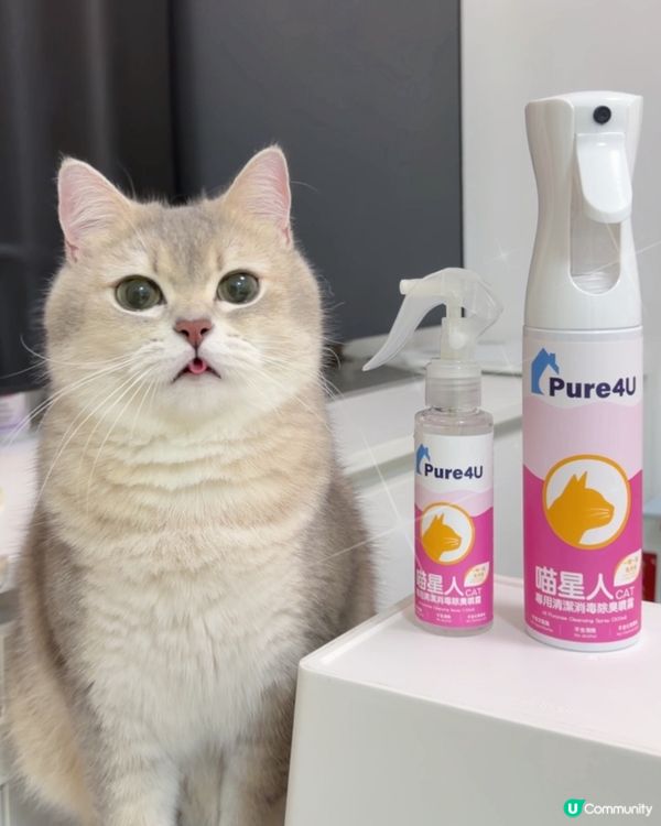 貓奴必備！喵星人專用消毒除臭噴霧！🐈🧼