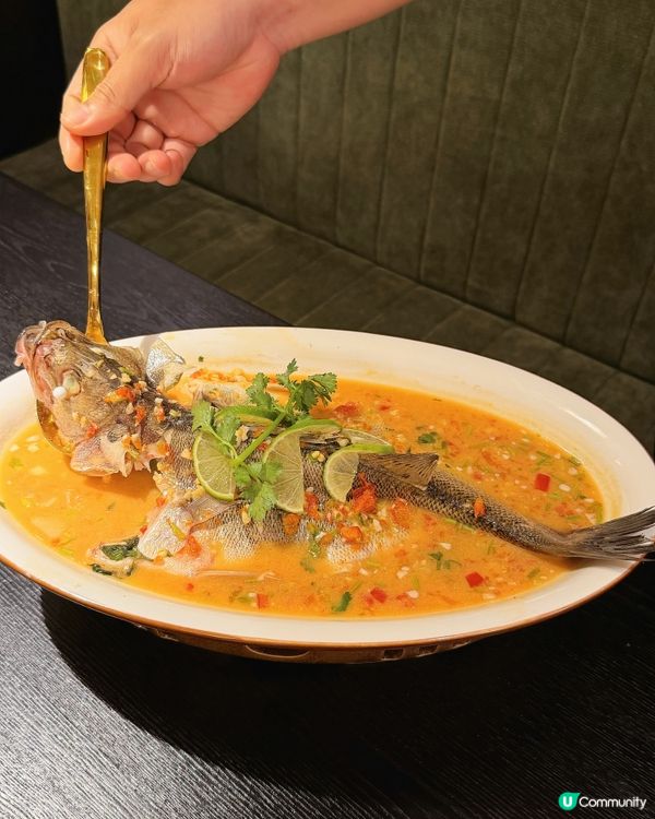 華僑城正宗泰餐|泰國主廚+鮮活海鮮🦞