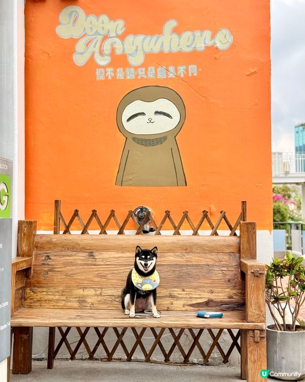 文化館內的新Cafe