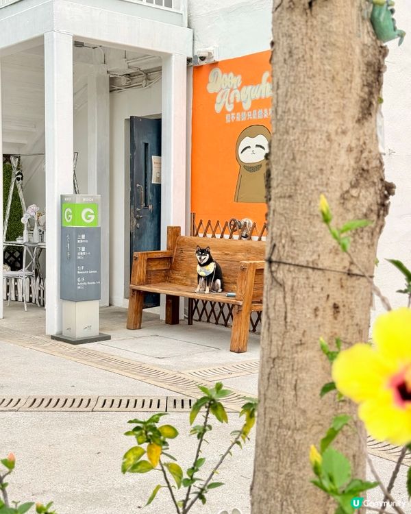 文化館內的新Cafe