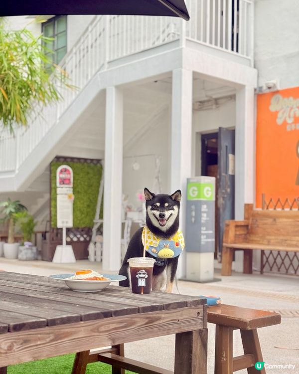 文化館內的新Cafe