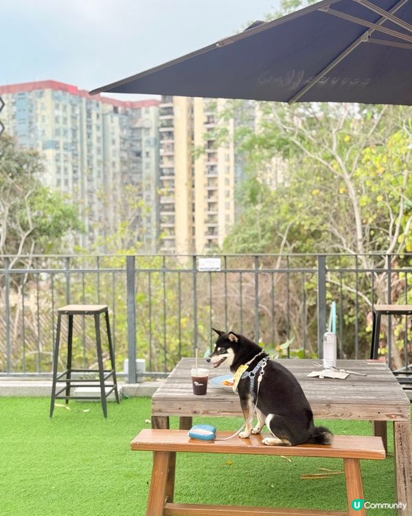 文化館內的新Cafe