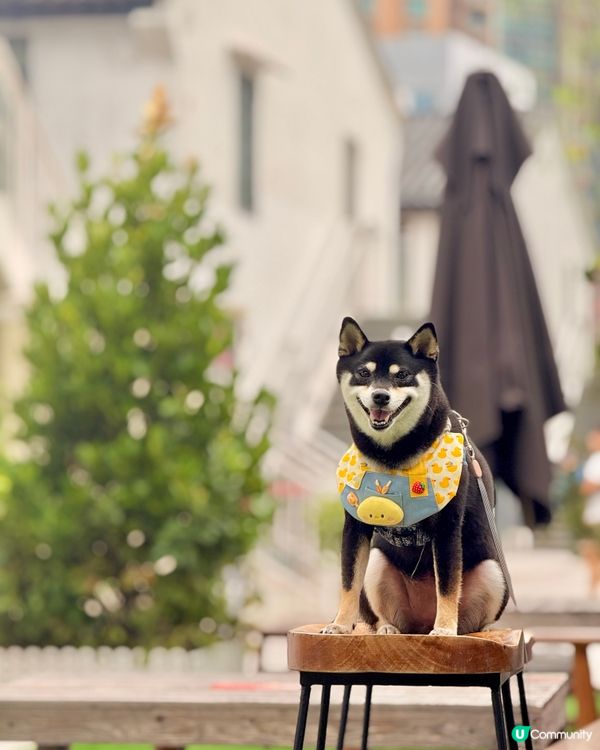 文化館內的新Cafe