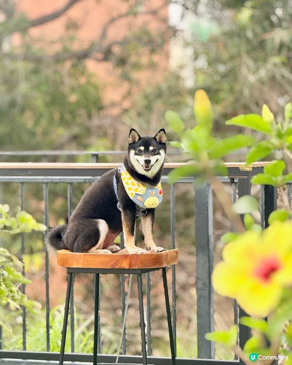 文化館內的新Cafe