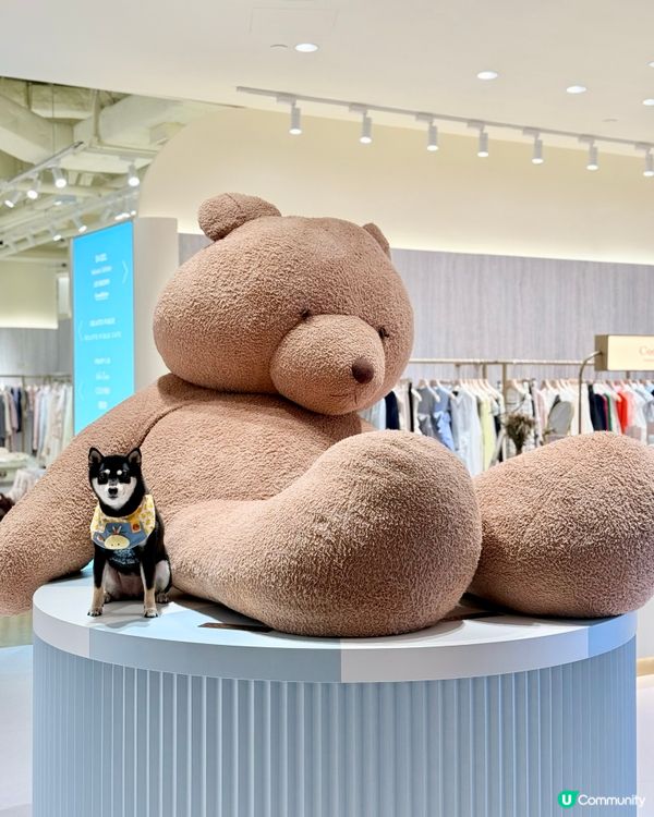 日本過江龍Crepes Cafe