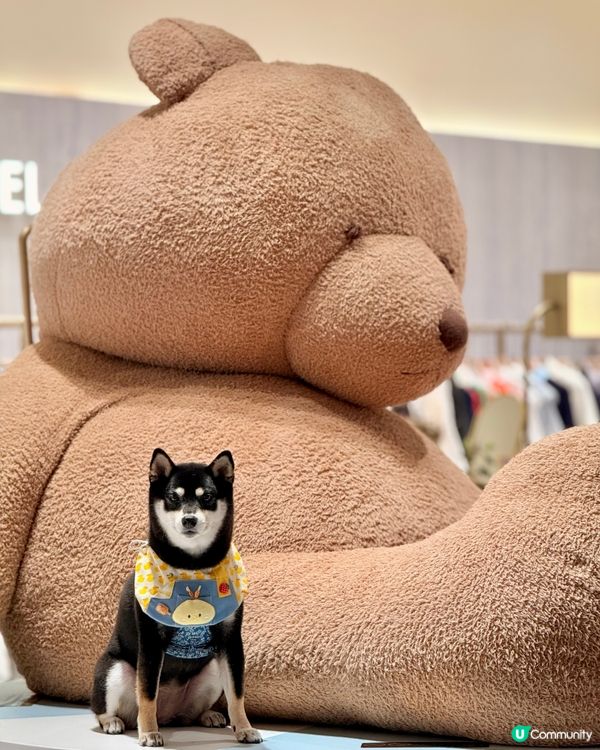 日本過江龍Crepes Cafe