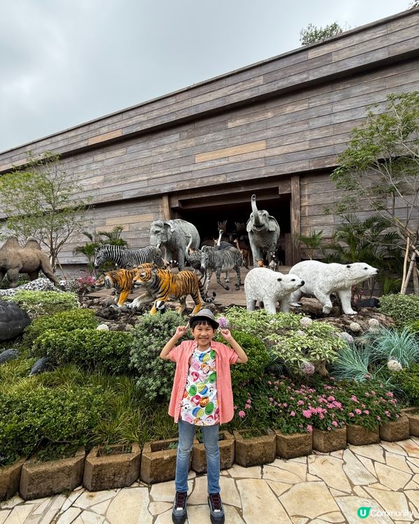 復活節放電首選！方舟實驗室變身記 🚀🐰