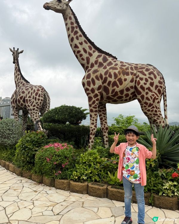 復活節放電首選！方舟實驗室變身記 🚀🐰