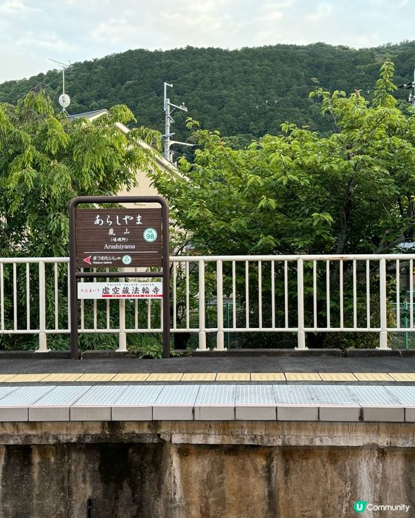 嵐山一日遊攻略🌿大阪有車直達🚇