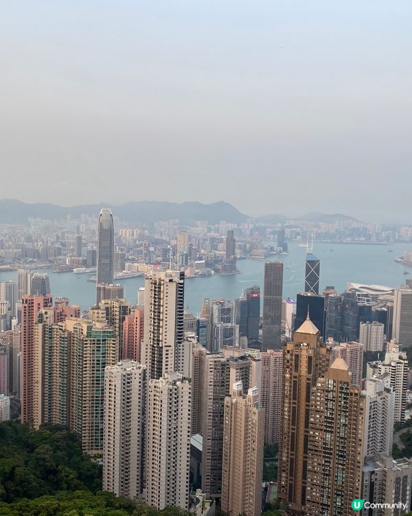 山頂夜景🔥香港絕美打卡位📸