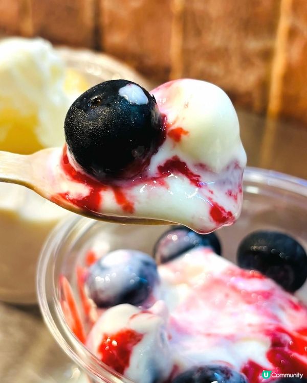 希臘乳酪雪糕！健康又美味！🍦😋