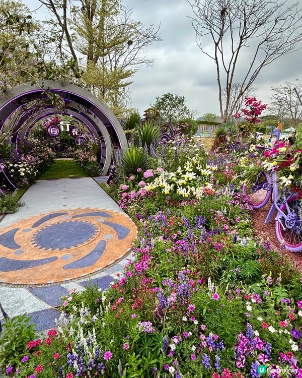 🌸 2026 粵港澳大灣區花展 (深圳)